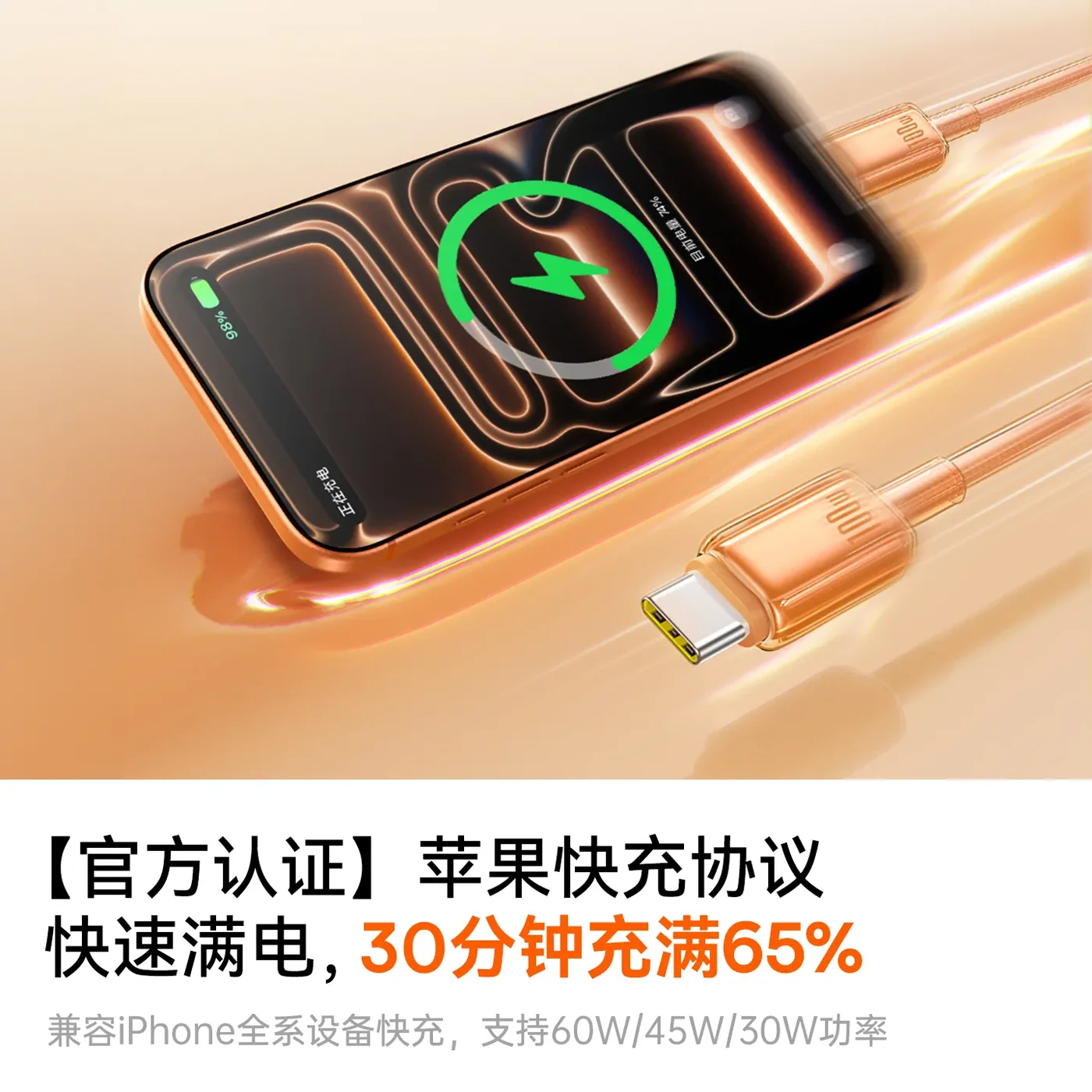 俐奈 冰透系列 快充数据线Type-C to Type-C 100W
